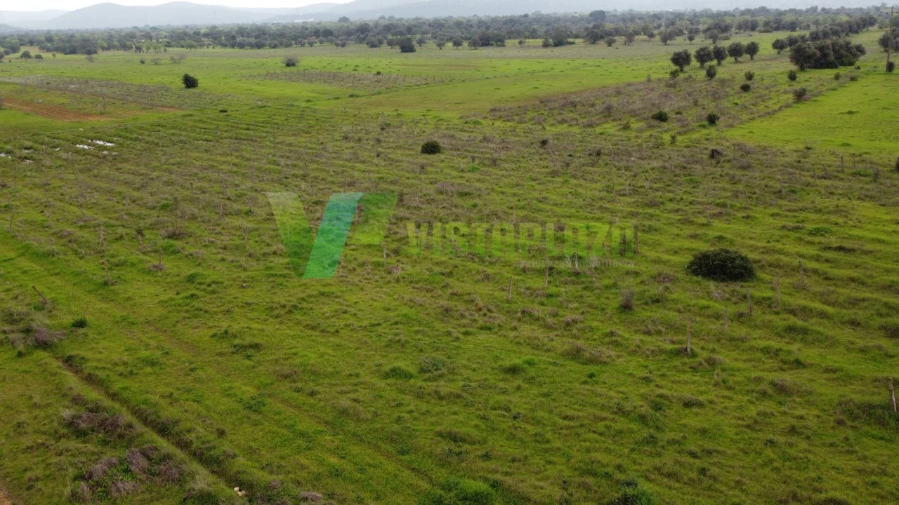 Terreno Agricola ou Rústico para Venda em Paderne Foto 19