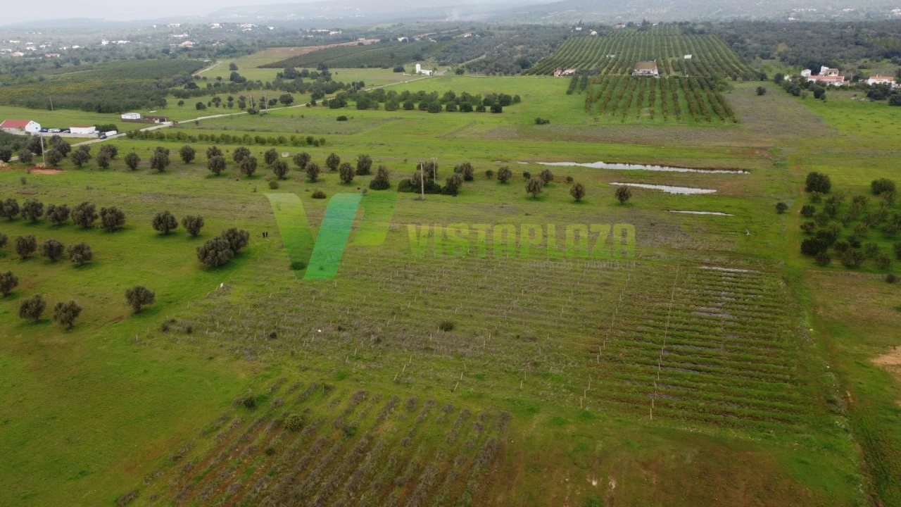Terreno Agricola ou Rústico para Venda em Paderne Foto 23