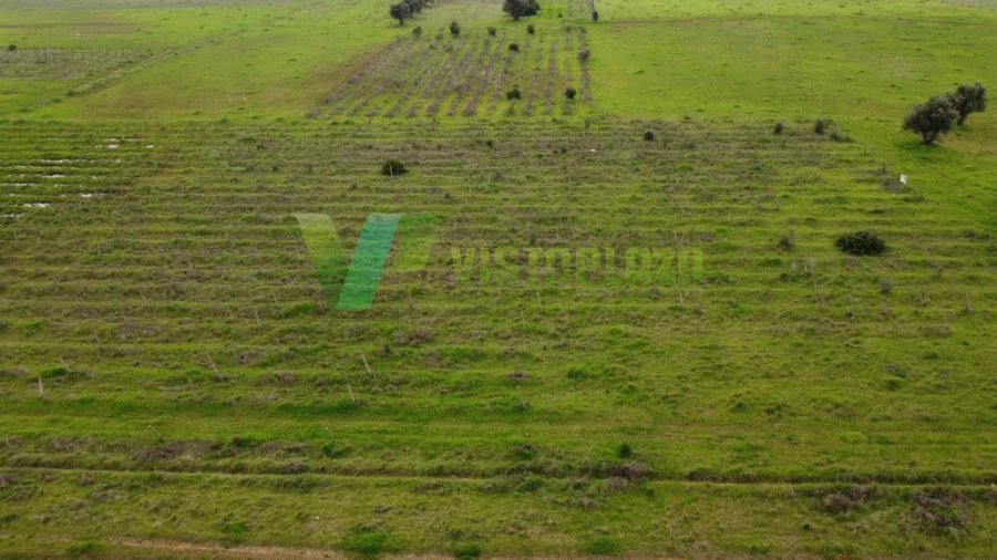 Terreno Agricola ou Rústico para Venda em Paderne Foto 4
