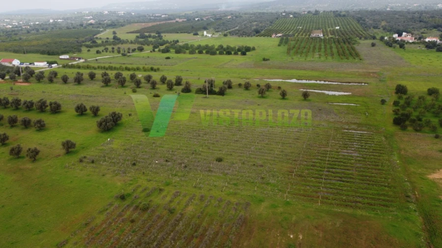 Terreno Agricola ou Rústico para Venda em Paderne Foto 5