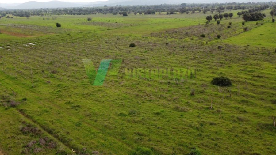 Terreno Agricola ou Rústico para Venda em Paderne Foto 9