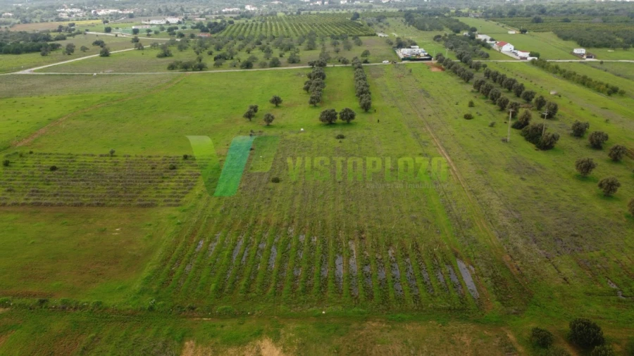 Terreno Agricola ou Rústico para Venda em Paderne Foto 11