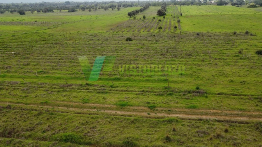 Terreno Agricola ou Rústico para Venda em Paderne Foto 12