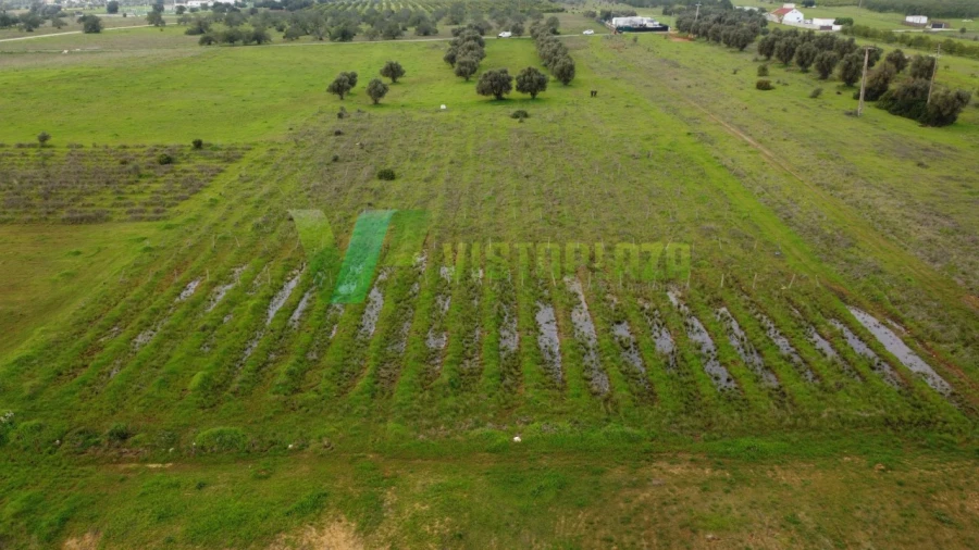 Terreno Agricola ou Rústico para Venda em Paderne Foto 14