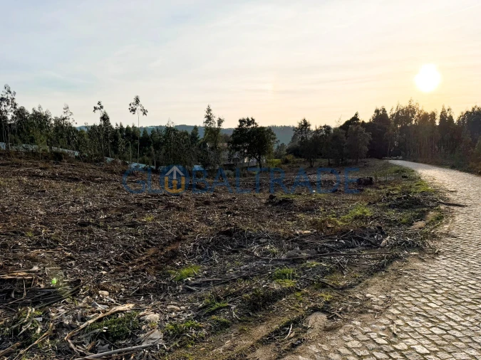 Terreno para Venda em Melres e Medas Foto 3