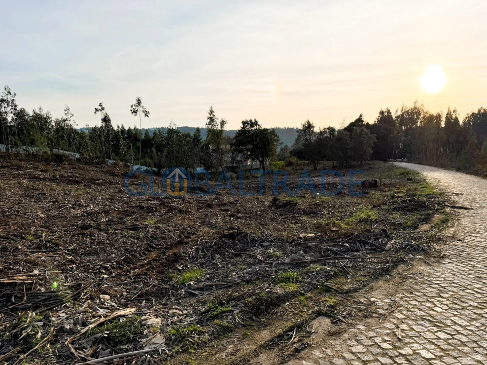 Terreno para Venda em Melres e Medas Foto 3