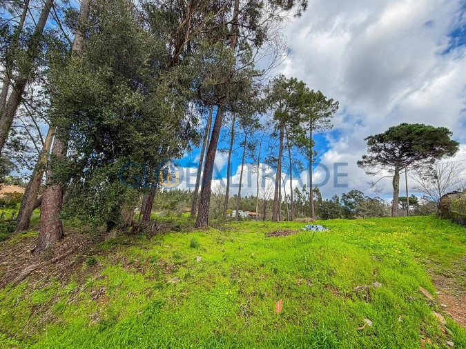 Terreno para Venda em Melres e Medas Foto 2