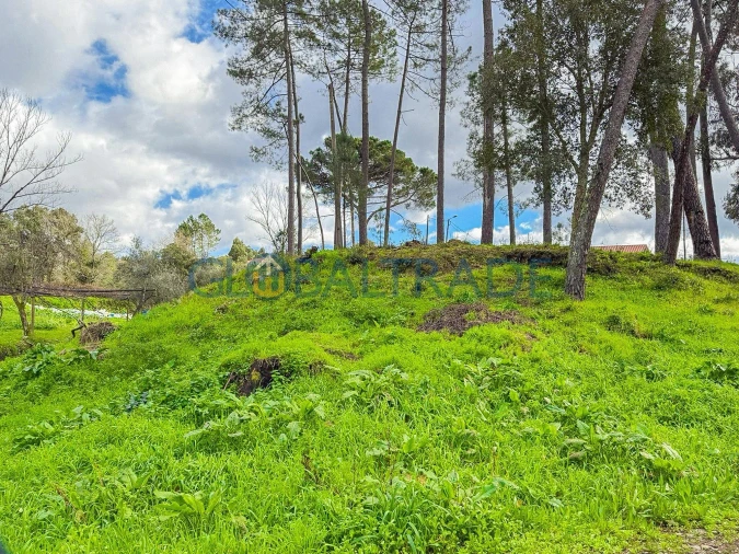 Terreno para Venda em Melres e Medas Foto 4