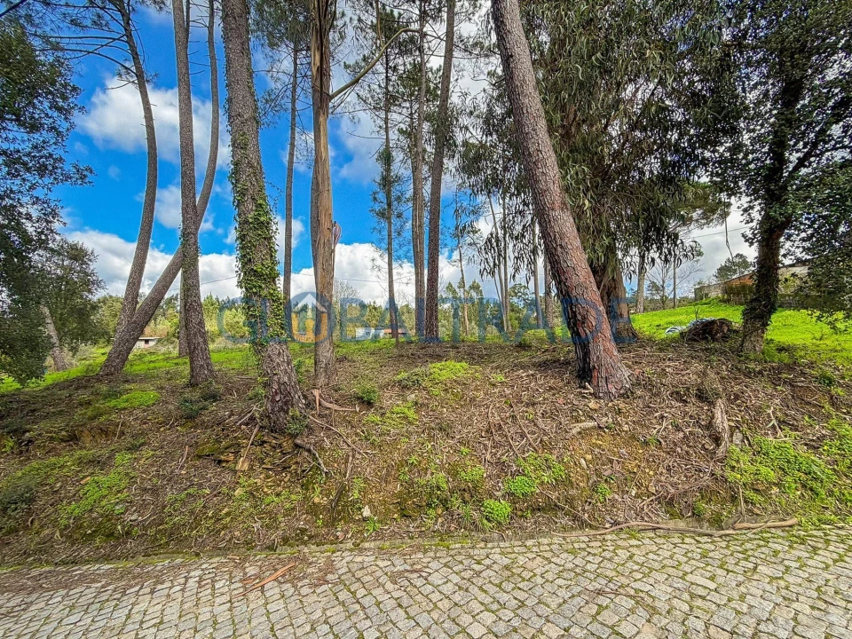 Terreno para Venda em Melres e Medas Foto 3