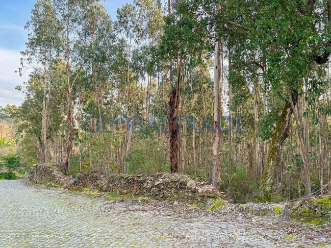 Terreno para Venda em Melres e Medas