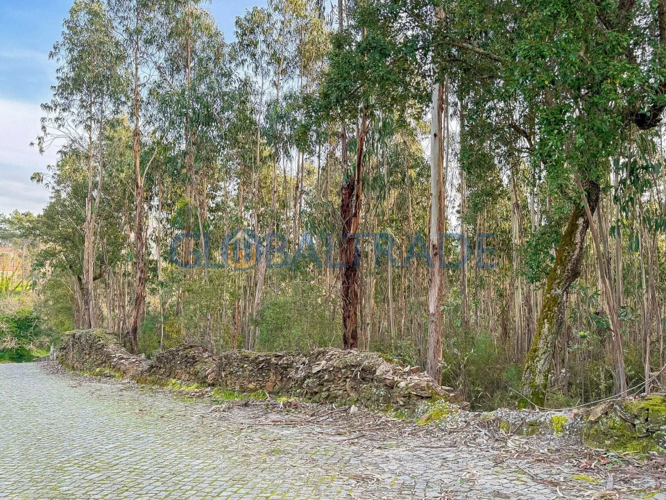 Terreno para Venda em Melres e Medas Foto 1