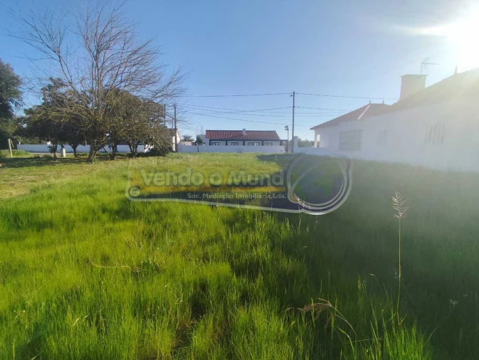 Terreno para Venda em Marinhais