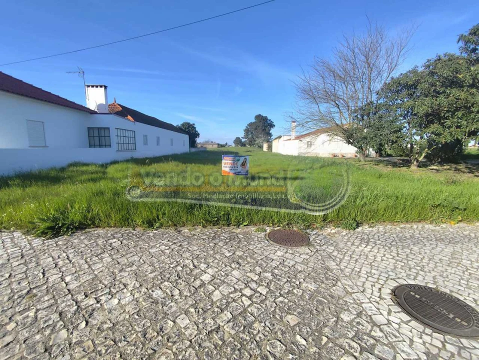 Terreno para Venda em Marinhais Foto 4