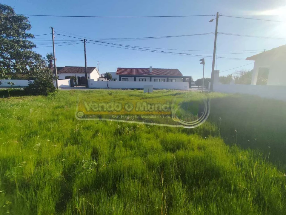 Terreno para Venda em Marinhais Foto 3