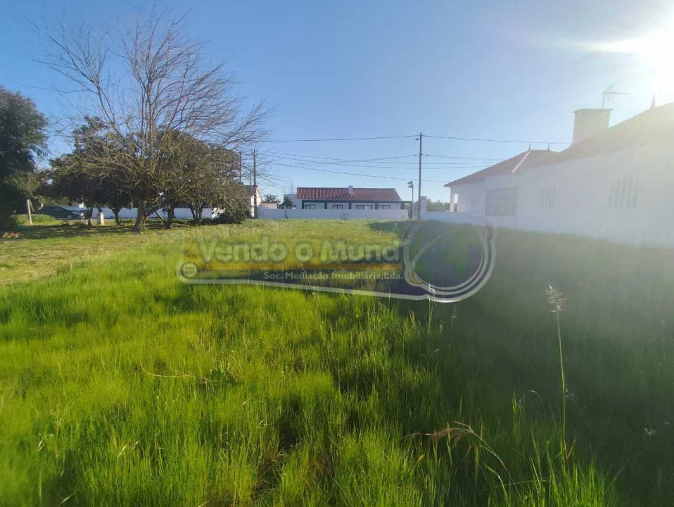 Terreno para Venda em Marinhais Foto 5
