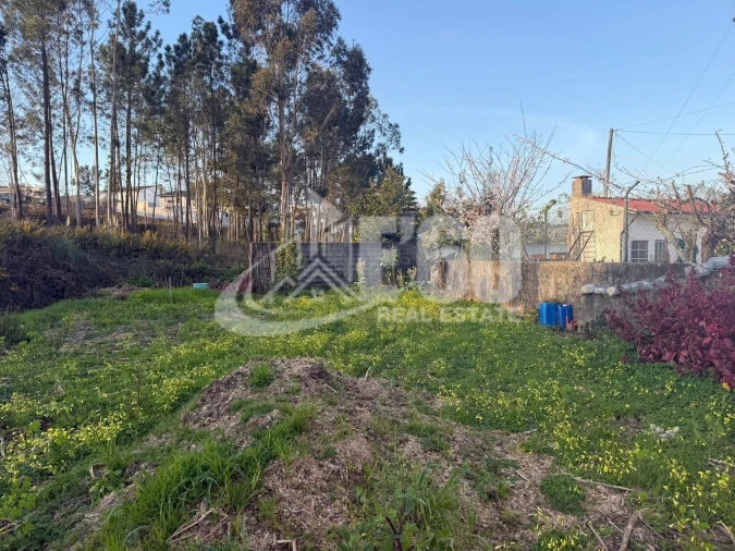 Terreno para Venda em Santa Maria da Feira, Travanca, Sanfins e Espargo Foto 1