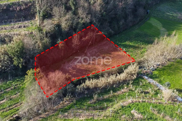 Terreno para Venda em São Martinho de Sardoura Foto 16