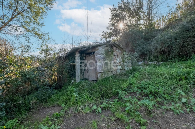 Terreno para Venda em São Martinho de Sardoura