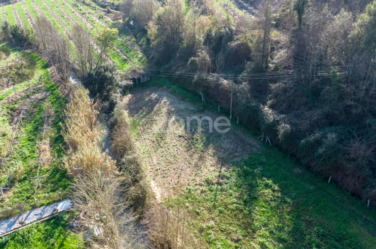 Terreno para Venda em São Martinho de Sardoura Foto 5