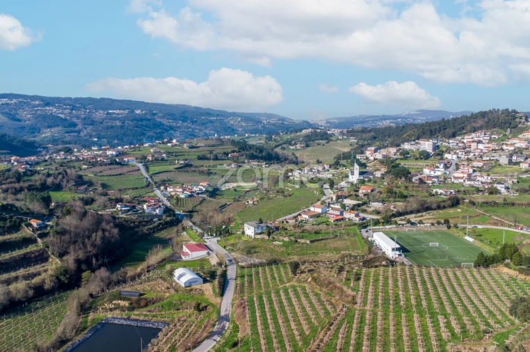 Terreno para Venda em São Martinho de Sardoura Foto 13