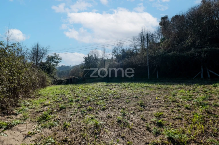 Terreno para Venda em São Martinho de Sardoura Foto 6