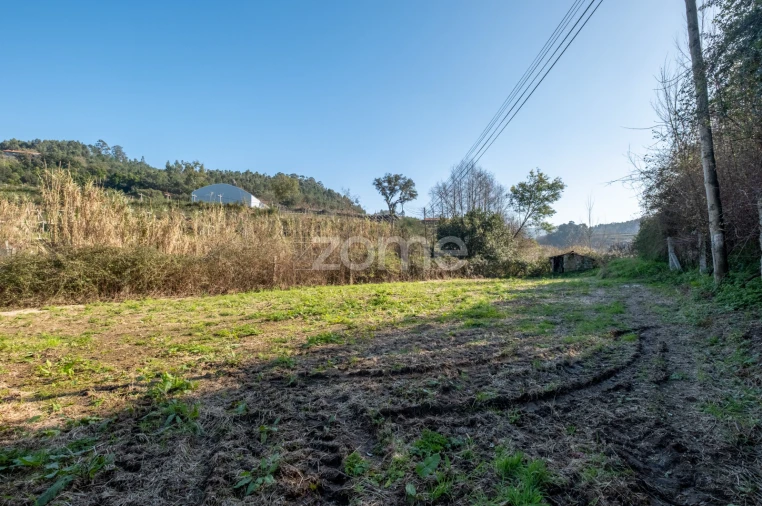 Terreno para Venda em São Martinho de Sardoura Foto 12