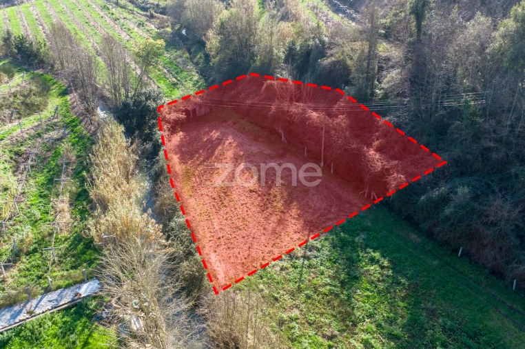 Terreno para Venda em São Martinho de Sardoura Foto 15