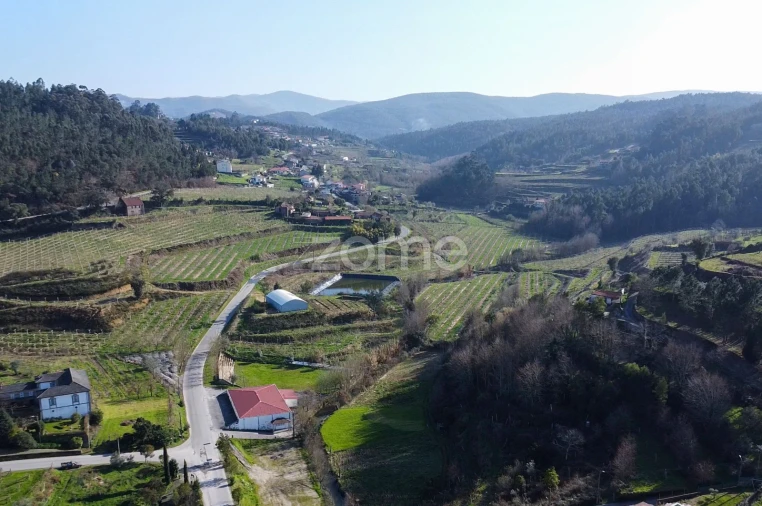 Terreno para Venda em São Martinho de Sardoura Foto 9