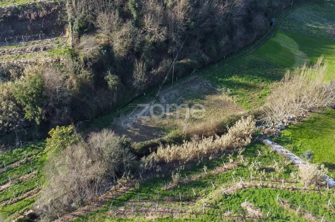 Terreno para Venda em São Martinho de Sardoura Foto 7