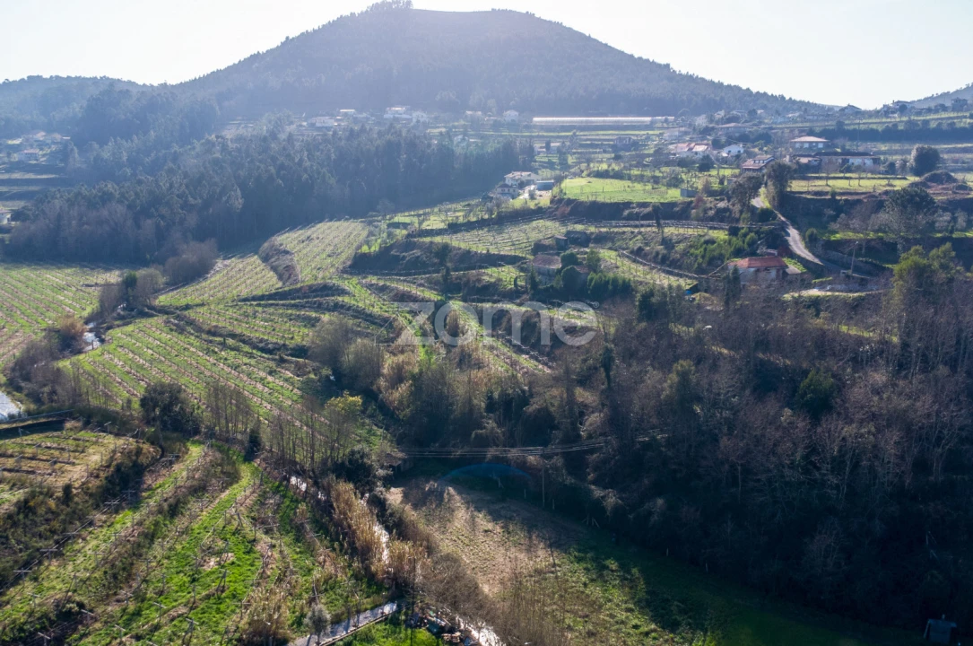 Terreno para Venda em São Martinho de Sardoura Foto 2