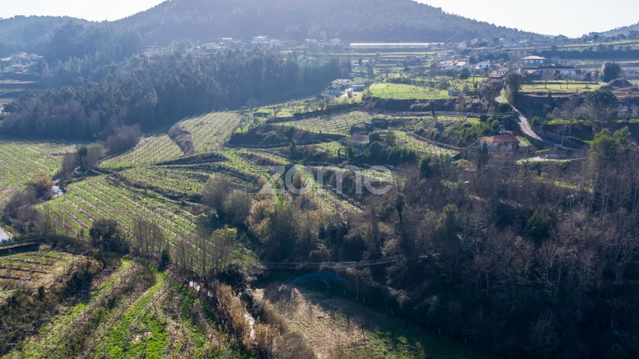 Terreno para Venda em São Martinho de Sardoura