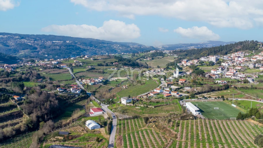 Terreno para Venda em São Martinho de Sardoura