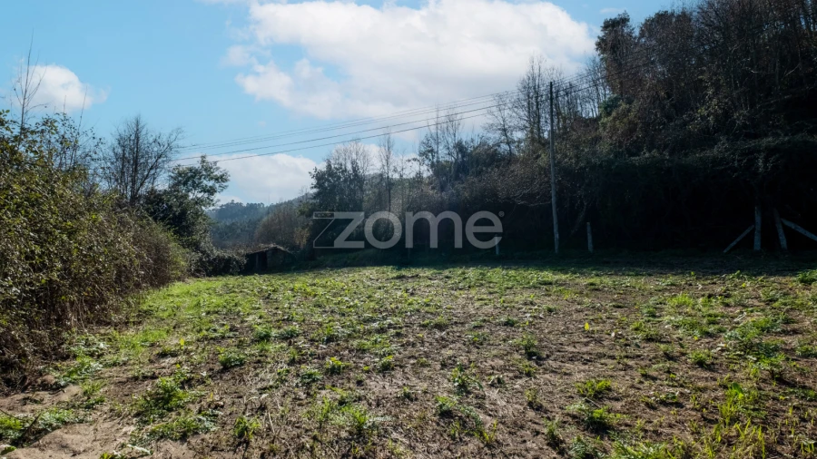 Terreno para Venda em São Martinho de Sardoura