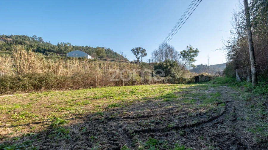 Terreno para Venda em São Martinho de Sardoura
