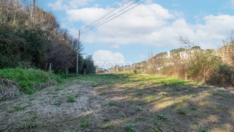 Terreno para Venda em São Martinho de Sardoura