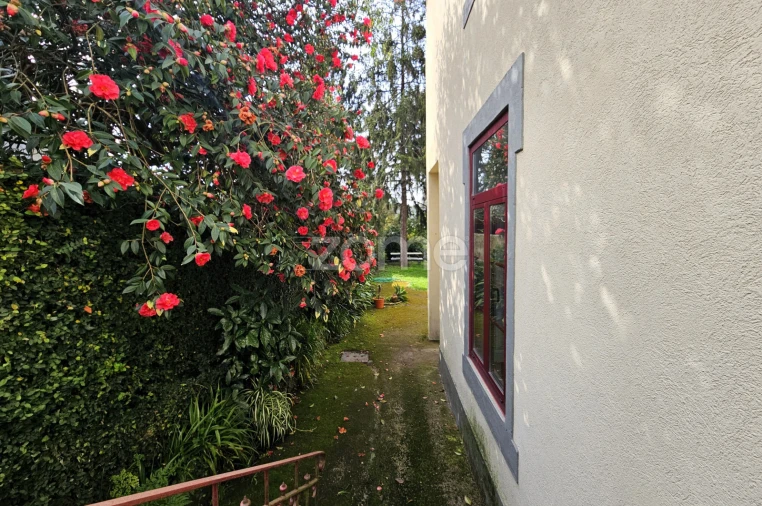 Moradia T4 para Venda em Paranhos Foto 5