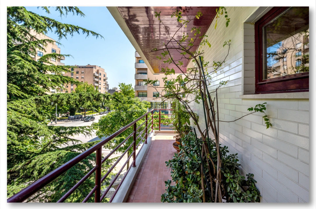 Apartamento T2 para Arrendamento em Ramalde Foto 13