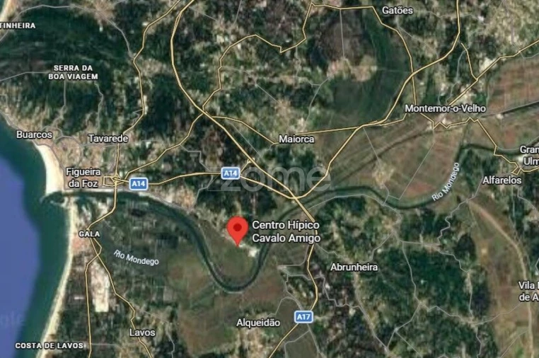 Terreno para Venda em Vila Verde Foto 10