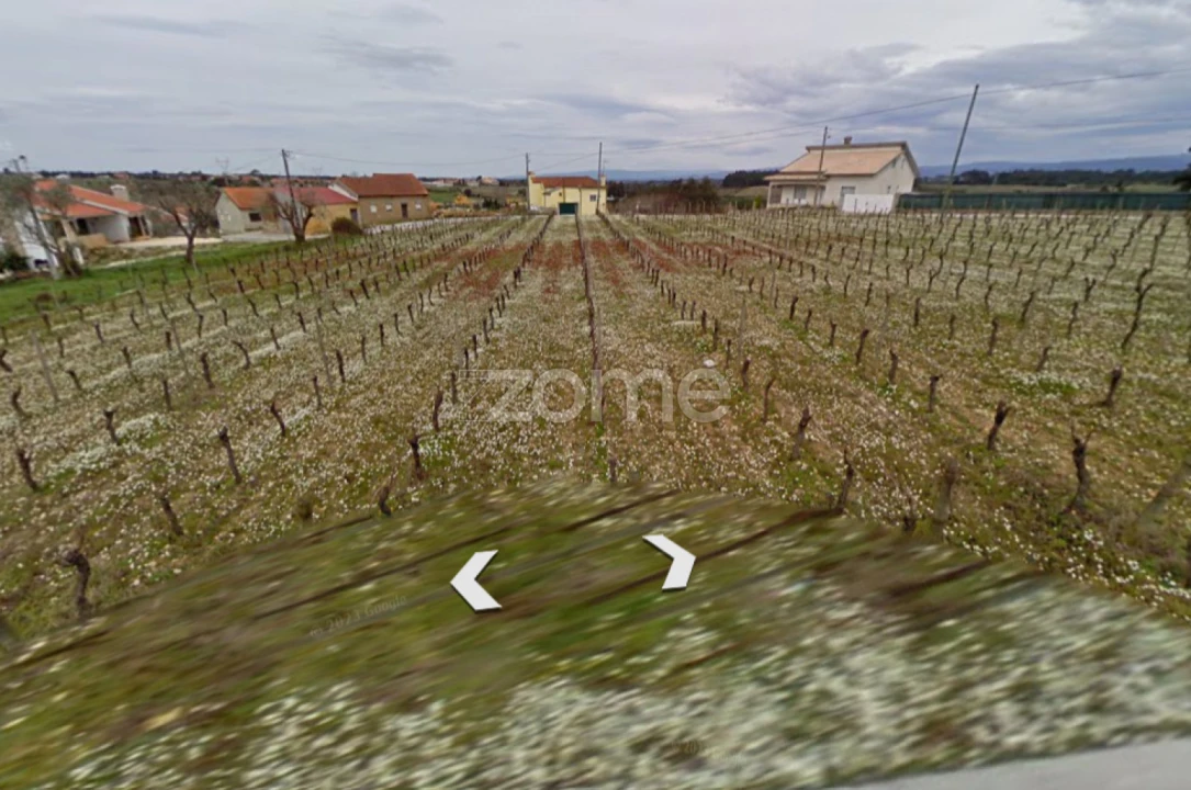 Terreno para Venda em Amoreira da Gândara, Paredes do Bairro e Ancas Foto 9