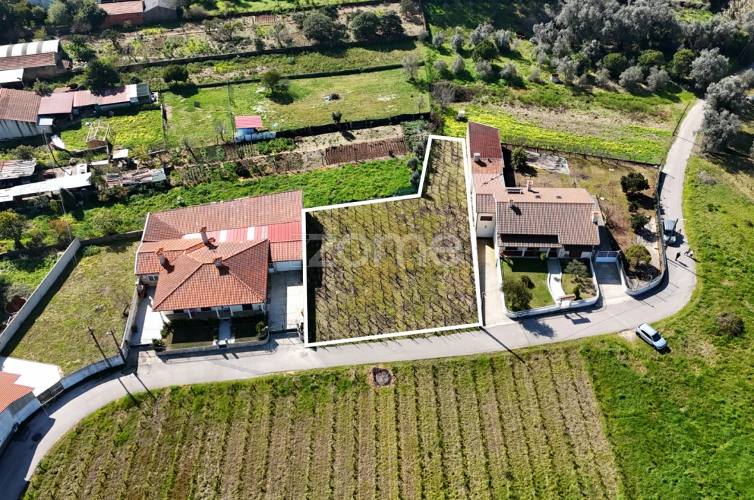 Terreno para Venda em Amoreira da Gândara, Paredes do Bairro e Ancas Foto 10