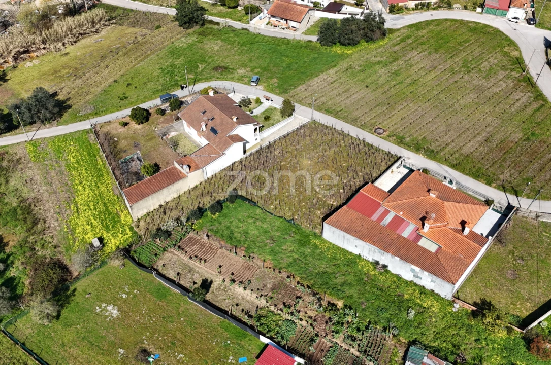 Terreno para Venda em Amoreira da Gândara, Paredes do Bairro e Ancas Foto 6