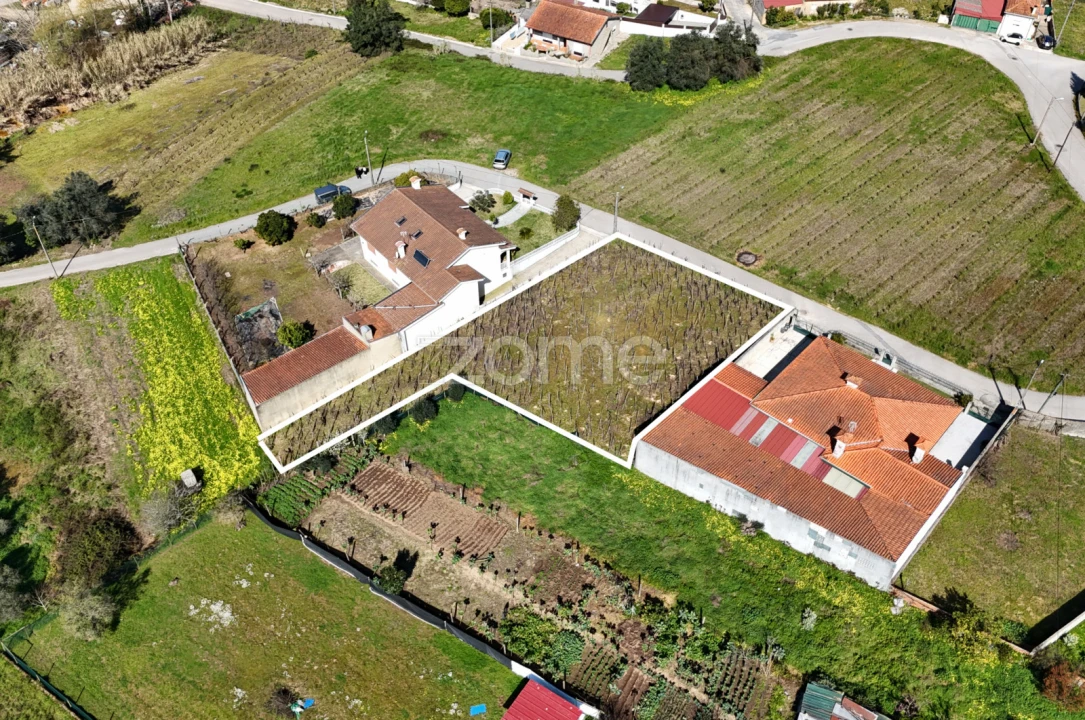 Terreno para Venda em Amoreira da Gândara, Paredes do Bairro e Ancas Foto 1