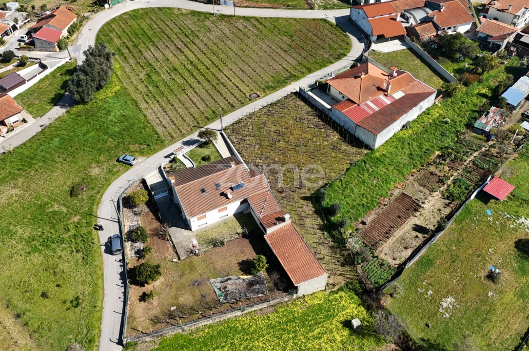 Terreno para Venda em Amoreira da Gândara, Paredes do Bairro e Ancas Foto 7