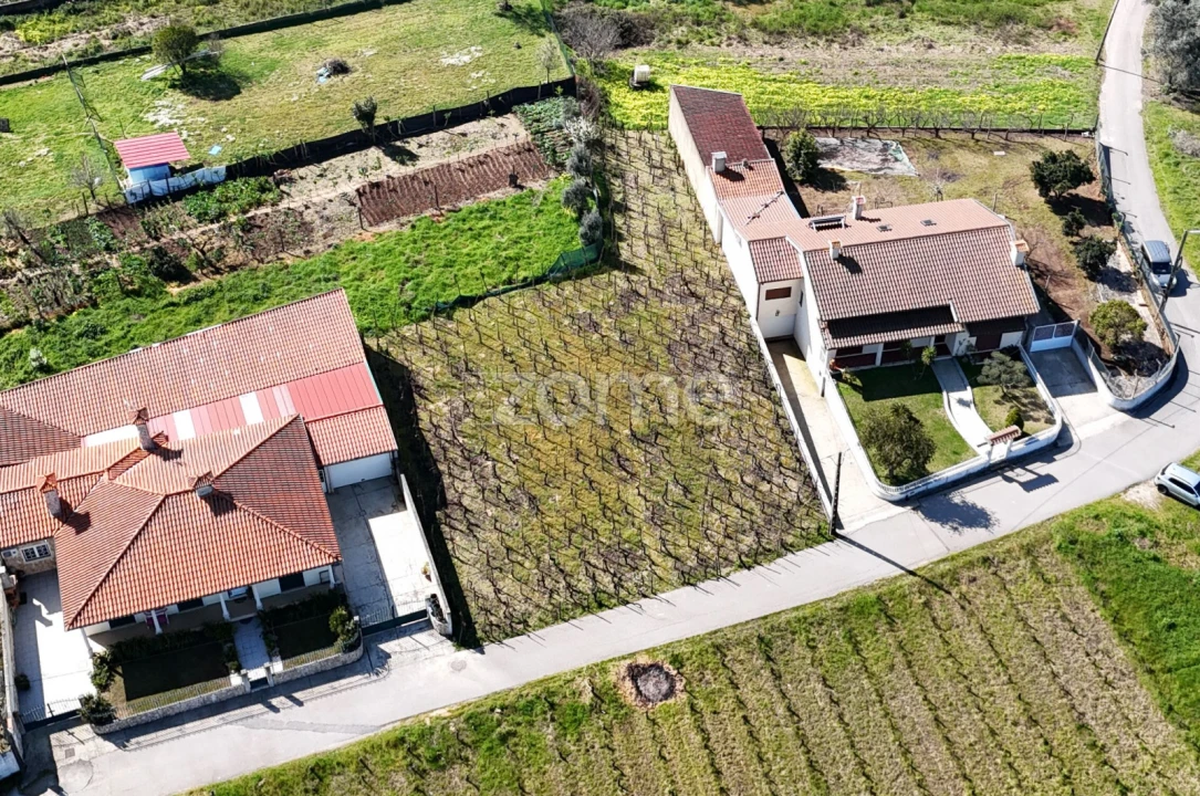 Terreno para Venda em Amoreira da Gândara, Paredes do Bairro e Ancas Foto 12