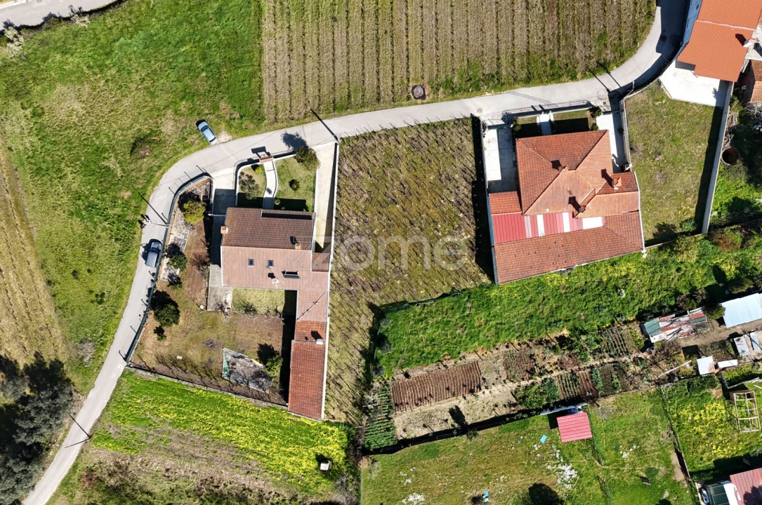 Terreno para Venda em Amoreira da Gândara, Paredes do Bairro e Ancas Foto 4
