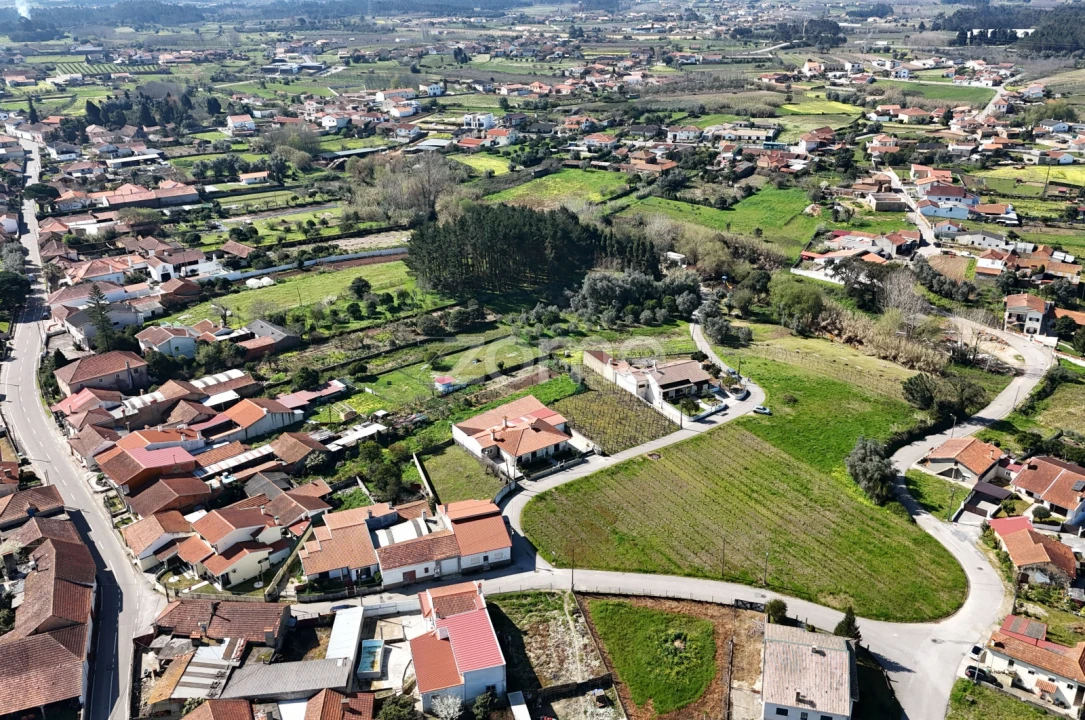 Terreno para Venda em Amoreira da Gândara, Paredes do Bairro e Ancas Foto 3