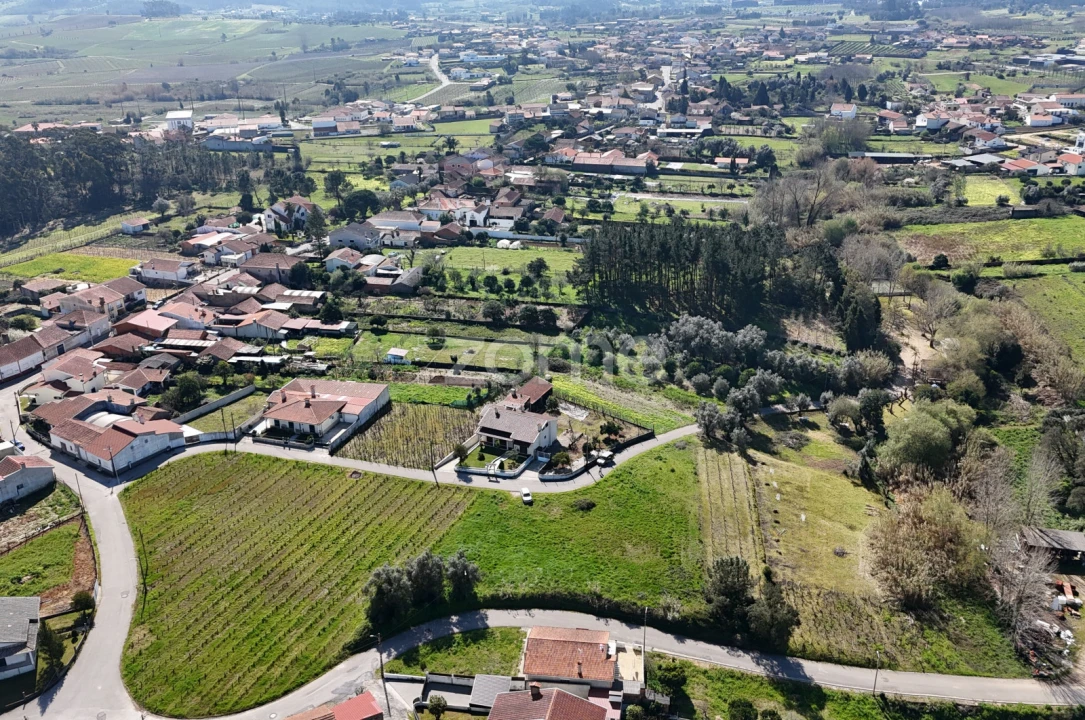 Terreno para Venda em Amoreira da Gândara, Paredes do Bairro e Ancas Foto 2