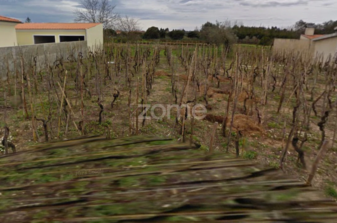 Terreno para Venda em Amoreira da Gândara, Paredes do Bairro e Ancas Foto 1