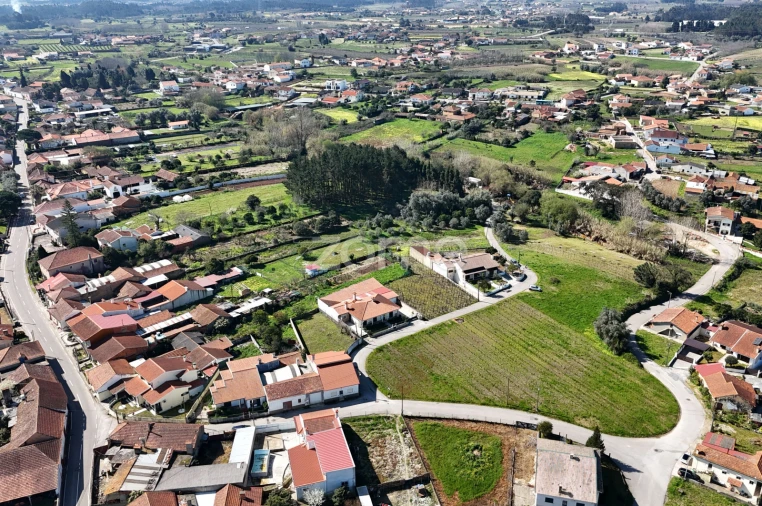 Terreno para Venda em Amoreira da Gândara, Paredes do Bairro e Ancas Foto 3