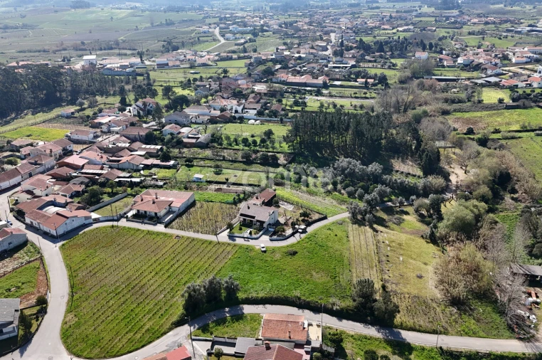Terreno para Venda em Amoreira da Gândara, Paredes do Bairro e Ancas Foto 2